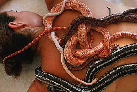 massage aux serpents